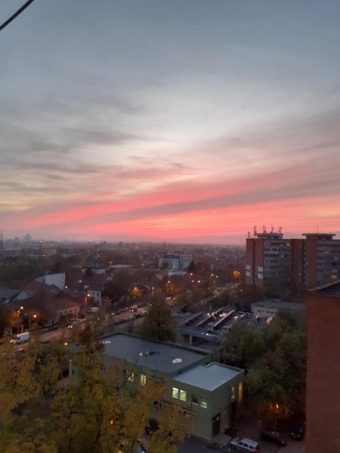 Skyline Central Apartment Temešvár Exteriér fotografie